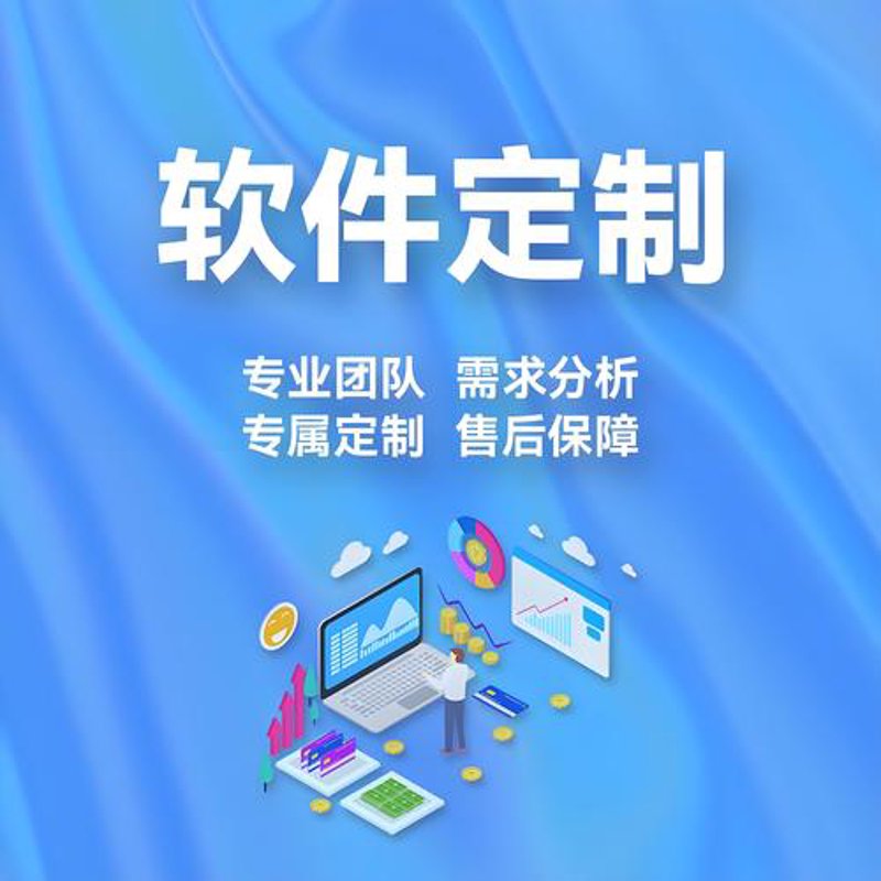 软件定制开发引领数字时代革新